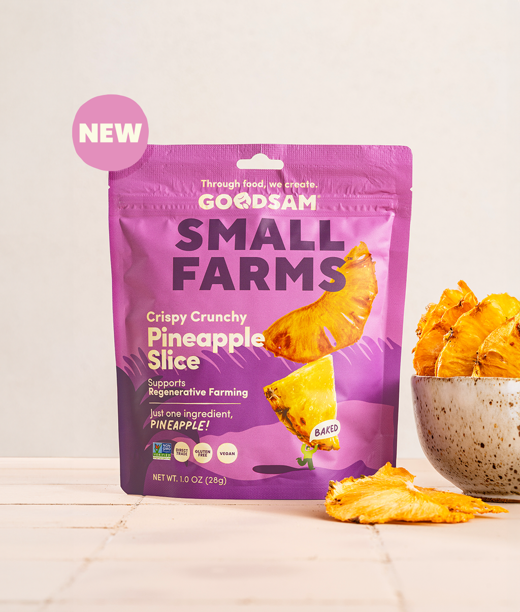 Crispy Crunchy Pineapple Slice