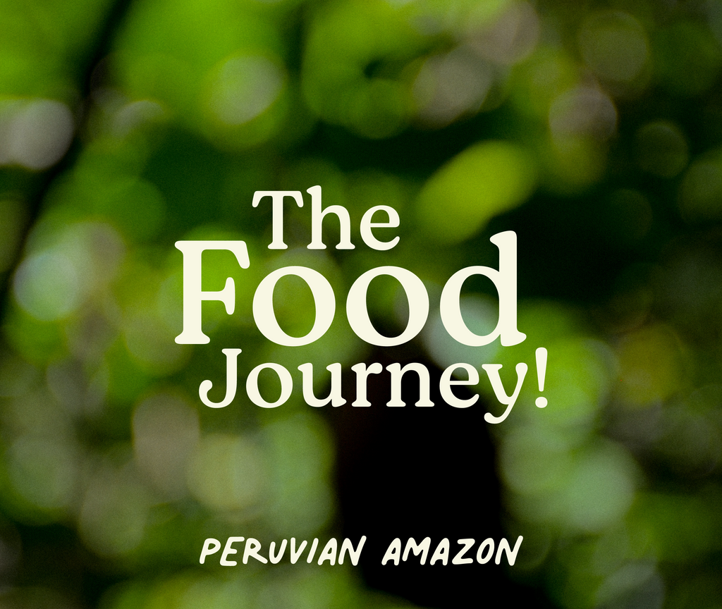 The Story of the Brazil Nut: An Amazonian Treasure