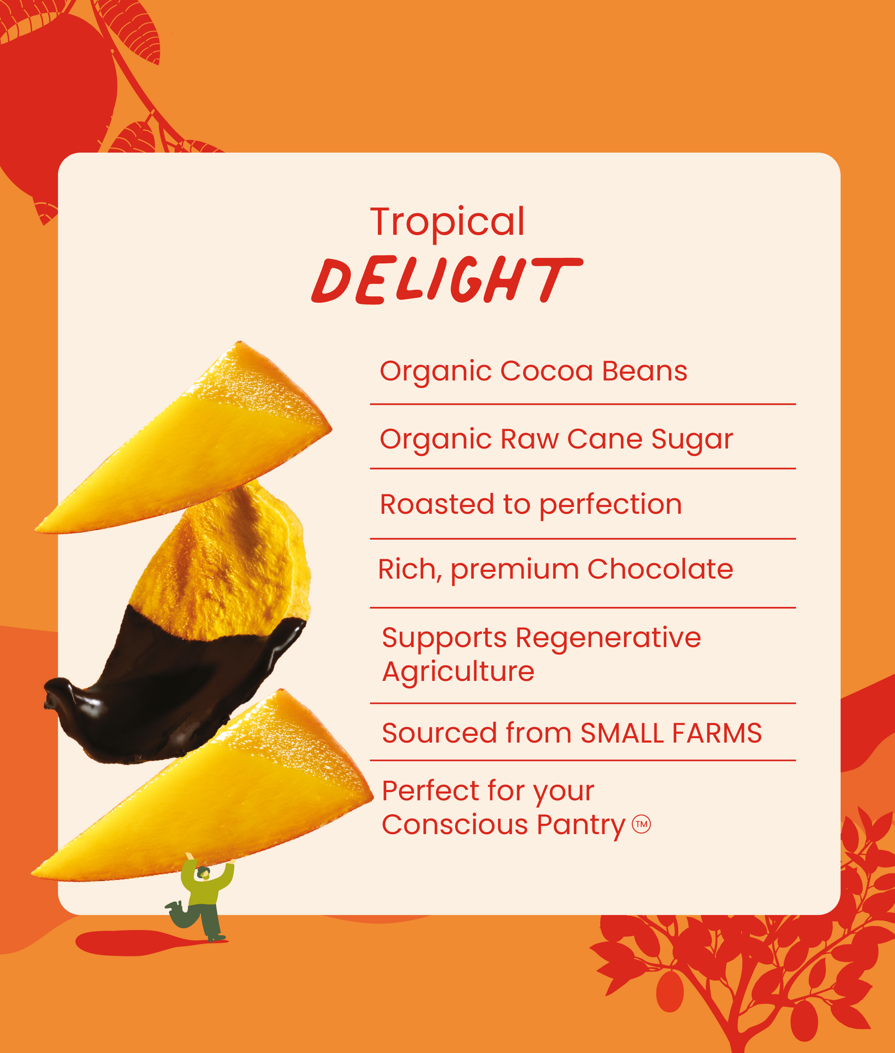 Chocolate Dipped Mango