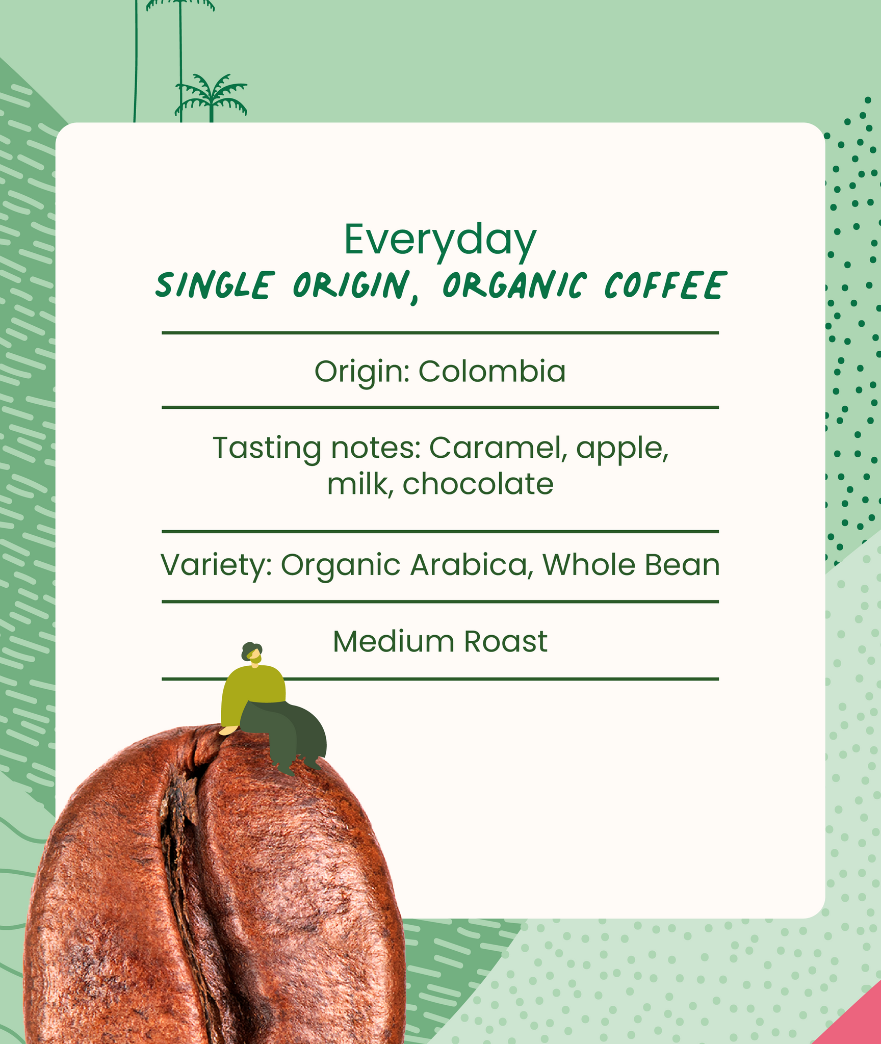 Whole Bean, Medium Roast Everyday Coffee, 12oz.